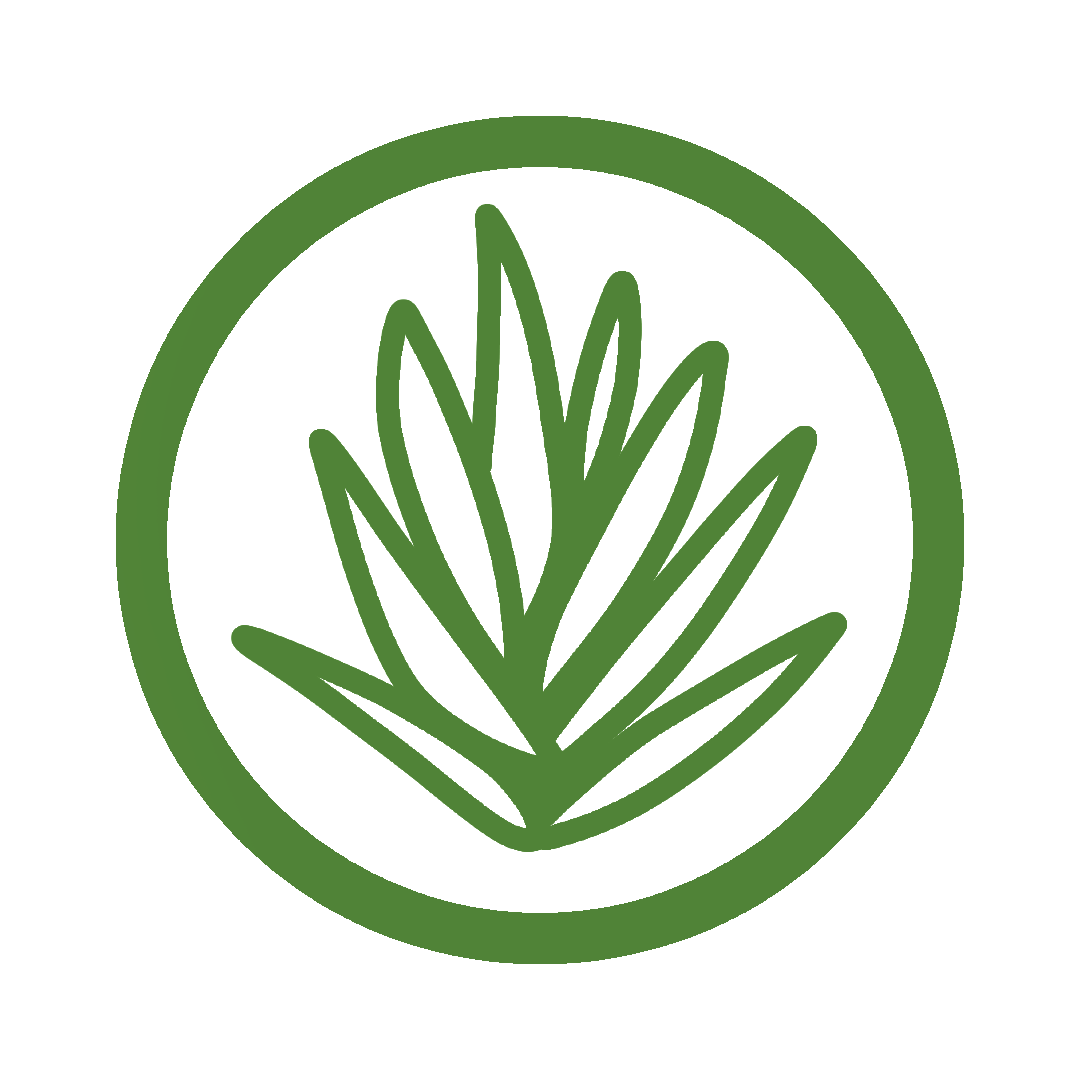 gamme cosmétiques aloe vera